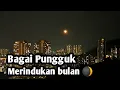 Download Lagu Bagai Pungguk merindukan bulan 🌒