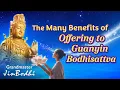 Download Lagu The Benefits of Honoring Guanyin Bodhisattva