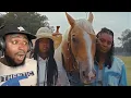 Download Lagu British Reaction to A Family of  Black Cowgirls - I WAS SURPRISED