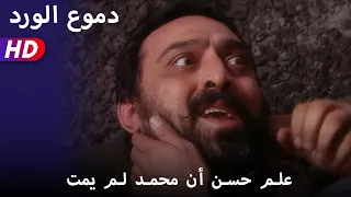 علم حسن أن محمد لم يمت 