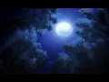 Brent Faiyaz - full moon  (fall in tokyo)  Slowed + Reverb