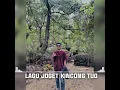 Download Lagu LAGU JOGET AMBON TERBARU 2025                             REMIX RATOK KINCIA TUO