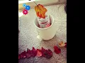 Download Lagu Autumn leaves thoran by wax preservation #shorts