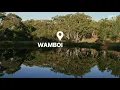 Bush sounds, birdsong in Australia — sleep music (2 hours) | Nature Track