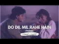 Download Lagu Do Dil Mil Rahe Hain [slowed + reverb] • Music Lyrics