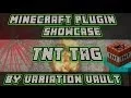 Minecraft Bukkit Plugin - TNT Tag