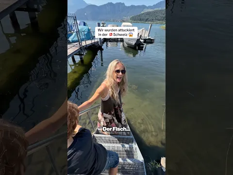 Fisch-Attacke in der Schweiz! 🐟😳