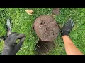 Lagu LIVE OPGRAAFACTIE!! Minelab Manticore op de stoeprand van de oude school.