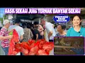 Download Lagu WAKTUNYA MENJUAL TERNAK SUPAYA PAPA TENANG LIBURAN KE INDONESIA, LANGSUNG DISERBU PEMBELI