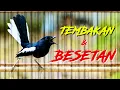 Download Lagu TEMBAKAN DAN BESETAN KACER GACOR