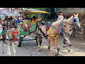 Download Lagu NAIK KUDA - NAIK DELMAN ISTIMEWA - LAGU NAIK DELMAN - KUDA TUNGGANG PUTIH - LAGU ANAK POPULER