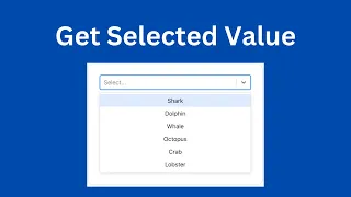 How to Get Value from Select Option in React JS React Dropdown