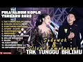Download Lagu TAK TUNGGU BALIMU - SILVY KUMALASARI FEAT SADEWOK FULL ALBUM TERBARU DANGDUT KOPLO TERBARU 2025