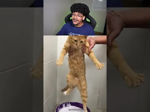 Acho que ele não tá afim de tomar banho 🤣 créditos:@PedrinhoePaulinho