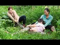 Download Lagu Harvesting Lychees to Sell at Market – Rescuing Girl from Giant Python Invasion!