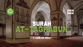 surah at taghabun hani ar rifai tadabbur daily