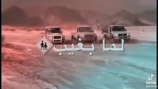 اجمل حالات واتساب لما بغيب السبع بتفلت الضباع قصف جبهات دندنها