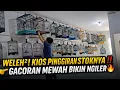 Lagu LAH BUSSET‼️ MEWAH BENER STOK BURUNG GACORAN DI KIOS PINGGIRAN 😱 JAUH DARI PASAR PRAMUKA 🔥