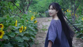 Firewood Rice Oil Salt Soy Sauce Vinegar And Tea One Can T Live Without Salt 丨Liziqi Channel 