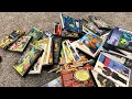 My Complete Disney DVD Collection 2026 Edition