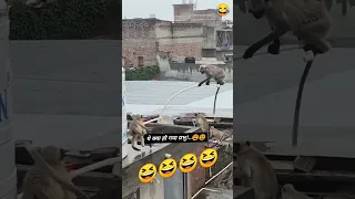 Https Www Instagram Com Reel DM1mitkBY8T Igsh ZXRyazhxdWg0bjJj 