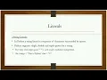 Literals in Tamil