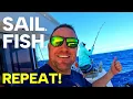 Lagu Fish ON! Sailing the deep waters of St. Croix. Day #2