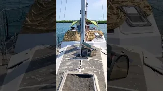 this is our millennial solarpunk house