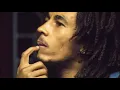 Bob Marley and the Wailers -  Top Rankin Demo