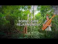 Download Lagu Borneo Sape Relaxing Music