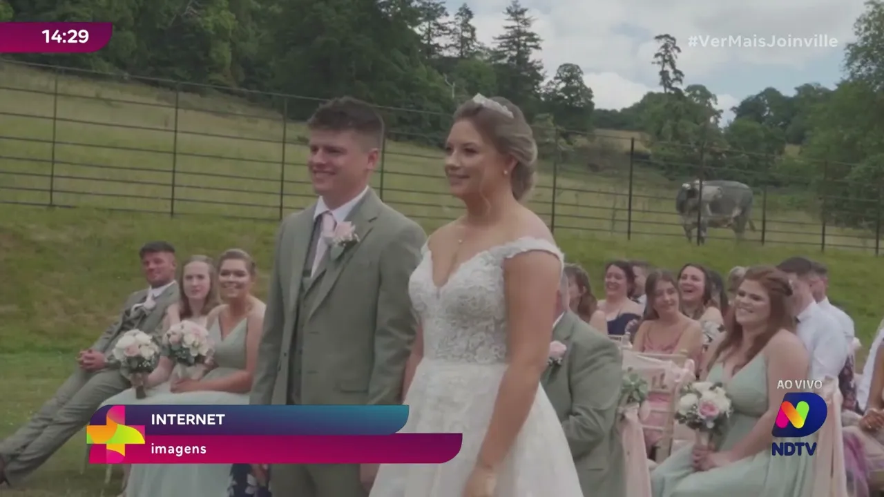 ‘Fale agora ou cale se para sempre’ vaca intrometida interrompe casamento