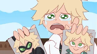 Miraculous Ladybug Comics When The Reveal Goes Wrong Marinette and Adrien reveal