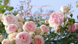                                نجاة الصغيرة   يا حبيبي إنده علي  دندنها