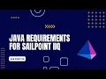 Java Requirement for SailPoint IIQ SailPoint Learning Path