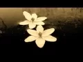 Sad Cello Solo original