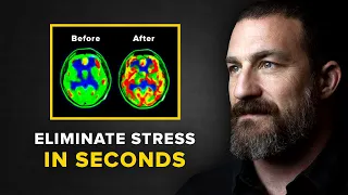 Download Neuroscientist: You Will NEVER Feel Stressed Again | Andrew Huberman MP3