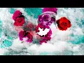PinkPantheress - Nice To Know You (Official Lyric Video)