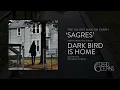 The Tallest Man On Earth - Sagres