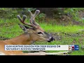 Gun hunting season for deer begins Saturday in Tennessee