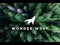 Judah & The Lion - Suit and Jacket