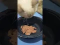 Download Lagu HUNGRY YUKI#cute #cat #catlover