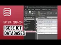 IGCSE ICT Access Databases Practical Exam Task - Specimen Paper 2 2023