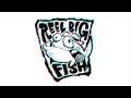 Reel Big Fish -  Live and Hilarious in 2012 Part 1 (Pro Filmed)