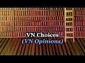 Writing Choices in Visual Novels