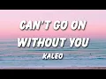 Kaleo - I Can’t Go On Without You (Lyrics)