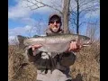 Top 10 Trout Fishing Lakes in Connecticut 2024