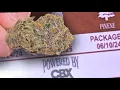 Cali Strain Review 21 Reviewing a Cherry Pie Indoor Top Shelf Weed Sample