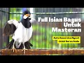 Download Lagu Masteran Jalak Suren Gacor Full Isian, Bisa Untuk Burung Gacoran dan Trotol Anda