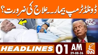 Iran Mocks Trump: “He Needs Treatment and 24-Hour Monitoring” | News Headlines | 1AM | 29 Aug 2026