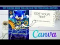 How to Edit Sonic Birt ay Invitation